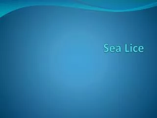 Sea Lice