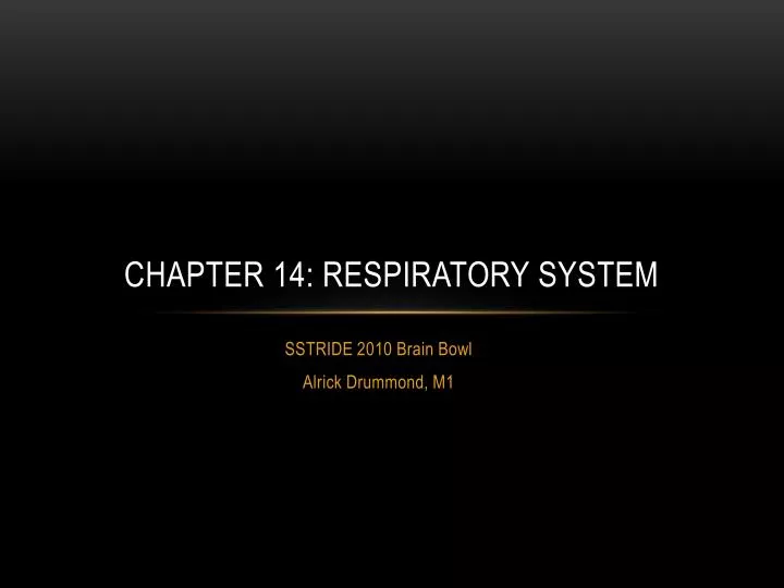 chapter 14 respiratory system