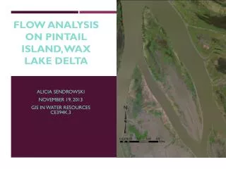 Flow analysis on Pintail island, Wax Lake D elta