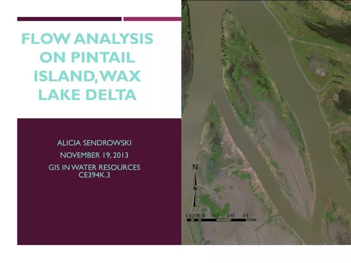 flow analysis on pintail island wax lake d elta