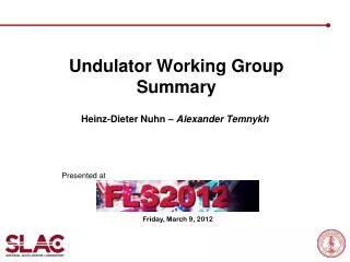 Undulator Working Group Summary