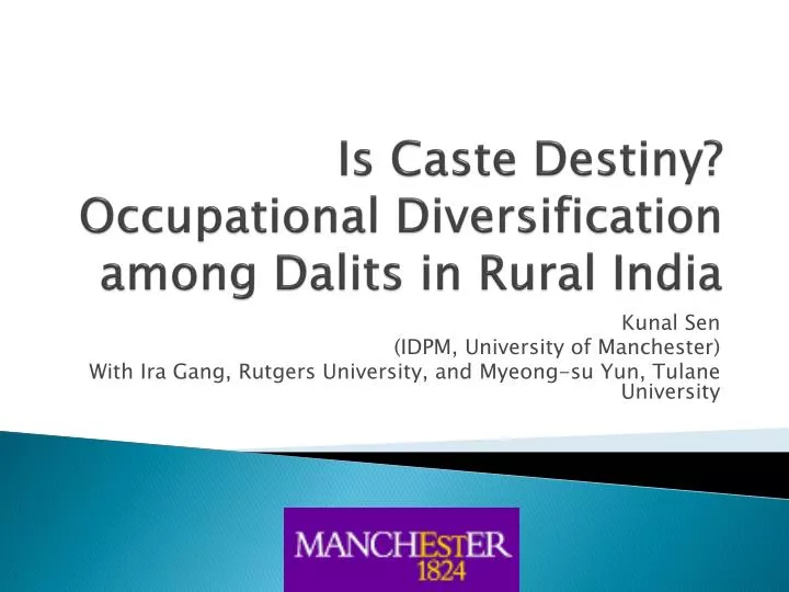 is caste destiny occupational diversification among dalits in rural india