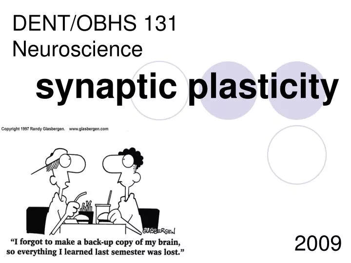 synaptic plasticity