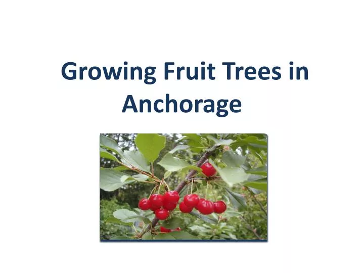 growing fruit trees in anchorage