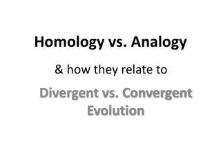 Homology vs. Analogy