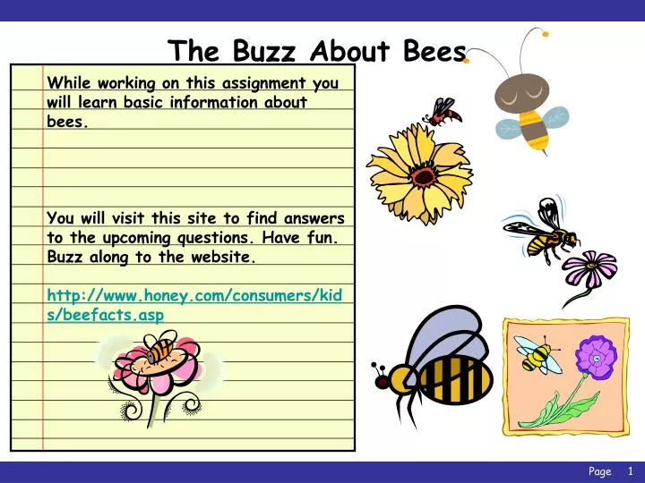 the buzz about bees