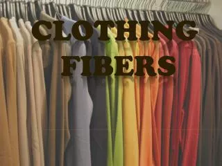 CLOTHING FIBERS