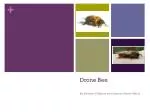 Drone Bee - slide 1