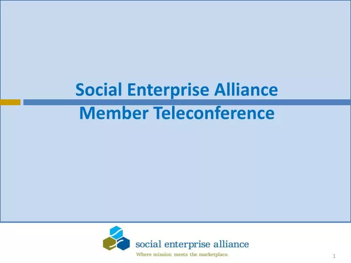 social enterprise alliance member teleconference