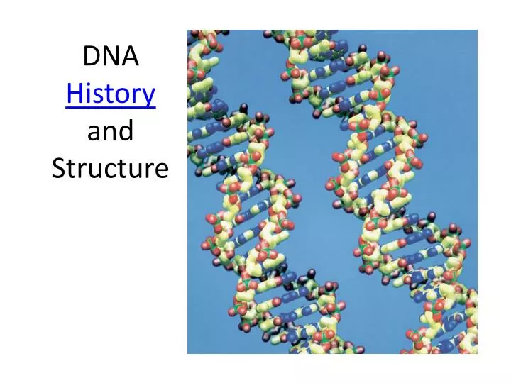 dna history and structure