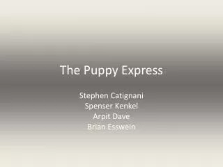 The Puppy Express