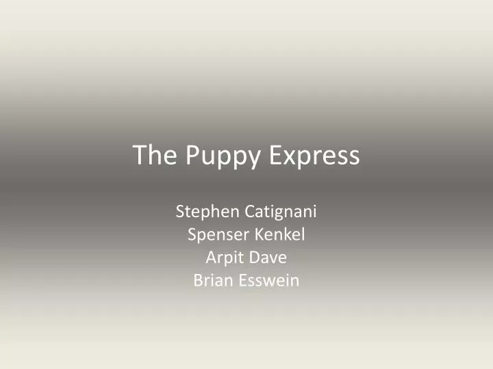 the puppy express