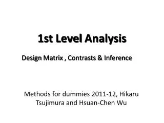 1st Level Analysis