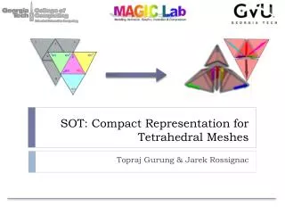 SOT: Compact Representation for Tetrahedral Meshes