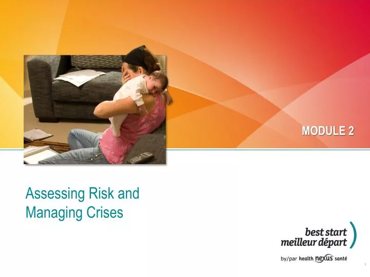 assessing risk and managing crises