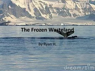 The Frozen Wasteland