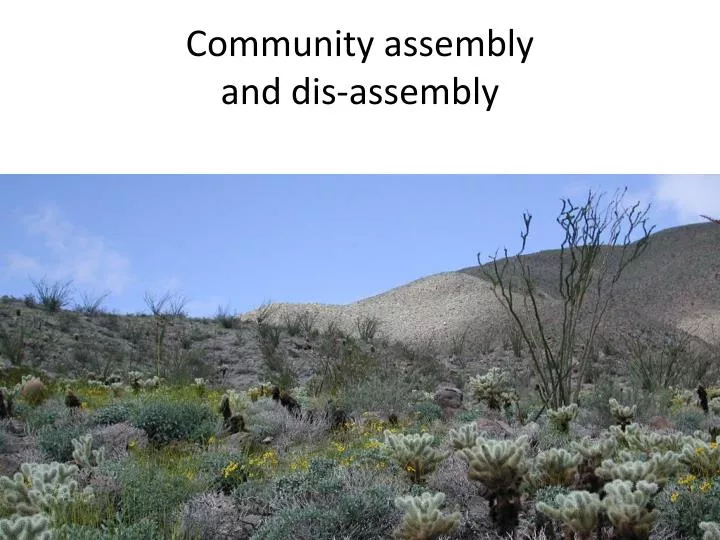 community assembly and dis assembly