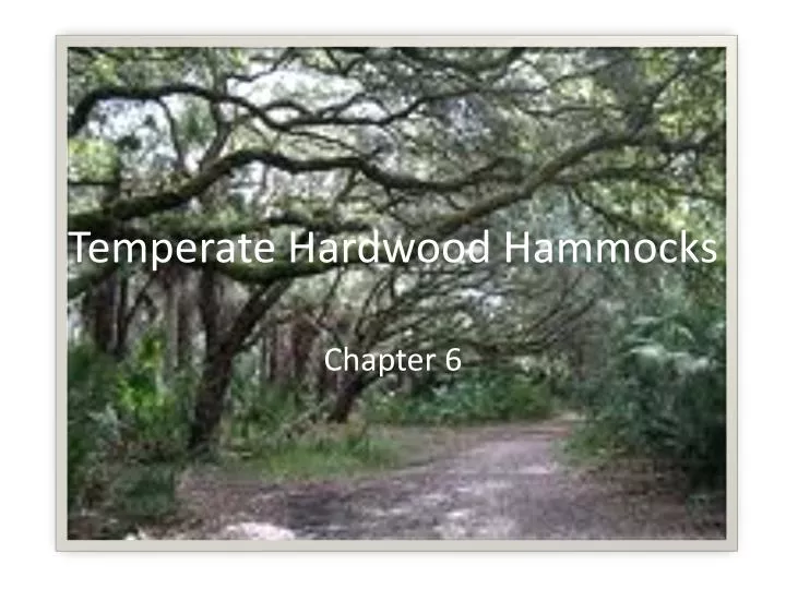 temperate hardwood hammocks