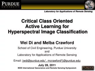 Critical Class Oriented Active Learning for Hyperspectral Image Classification