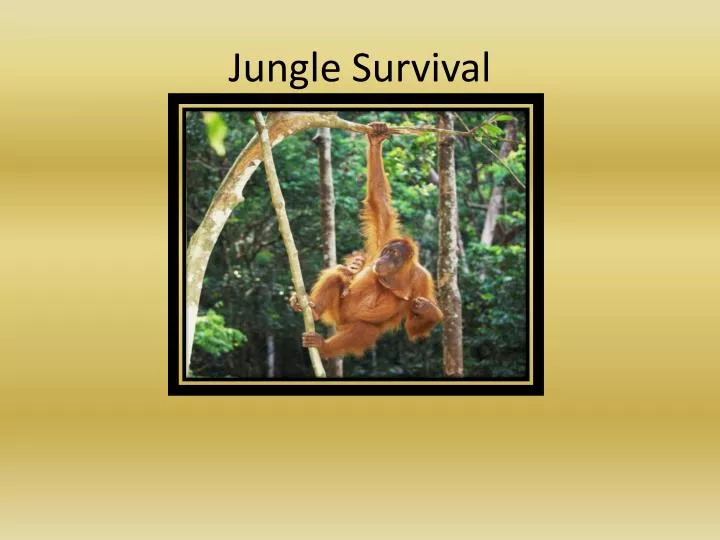jungle survival
