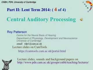 Roy Patterson Centre for the Neural Basis of Hearing