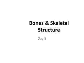 Bones &amp; Skeletal Structure