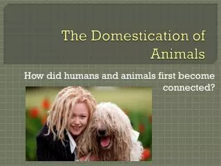 The Domestication of Animals