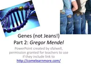 Genes (not Jeans!) Part 2: Gregor Mendel