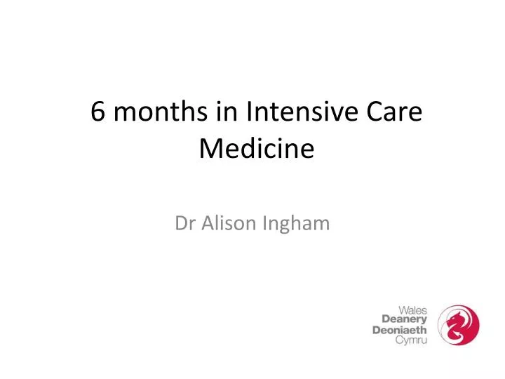 6 months in intensive care medicine