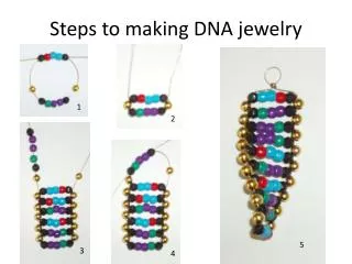 Steps to making DNA jewelry