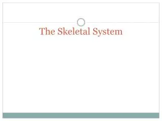 The Skeletal System