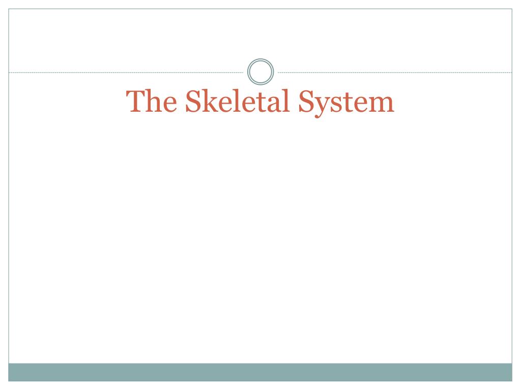 PPT - The Skeletal System PowerPoint Presentation, free download - ID ...