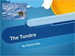 The Tundra