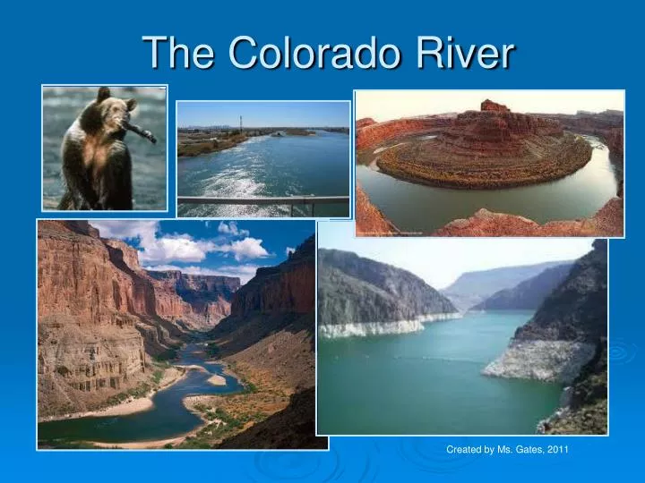 the colorado river