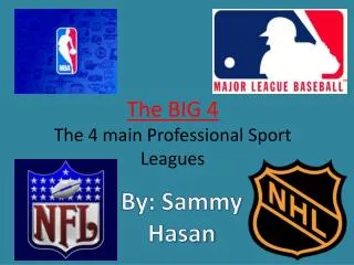 The BIG 4 The 4 main Professional Sport Leagues