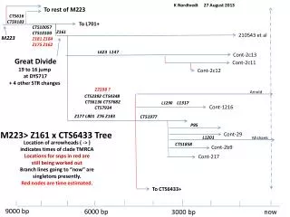 M223&gt; Z161 x CTS6433 Tree