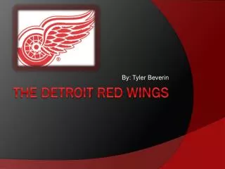 The detroit red wings