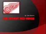 The detroit red wings - slide 1