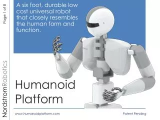 Humanoid Platform