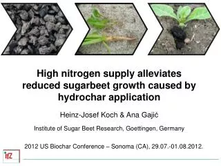 High nitrogen supply alleviates reduced sugarbeet growth caused by hydrochar application