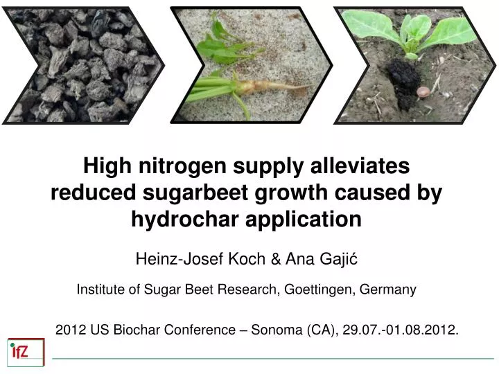 high nitrogen supply alleviates reduced sugarbeet growth caused by hydrochar application