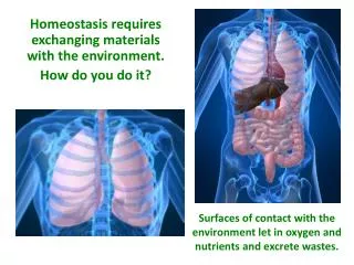 Homeostasis requires exchanging materials with the environment. How do you do it?
