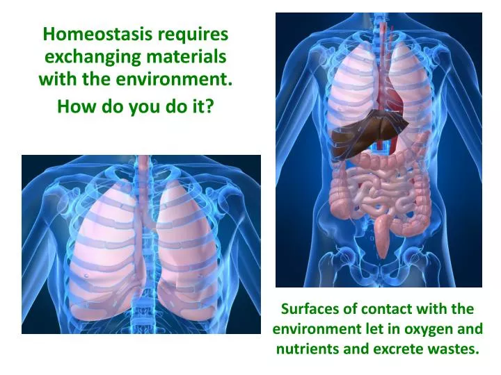 homeostasis requires exchanging materials with the environment how do you do it
