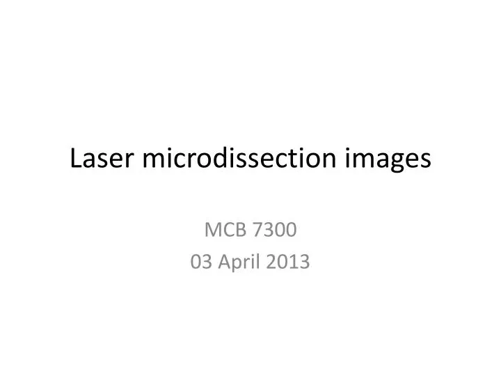 laser microdissection images