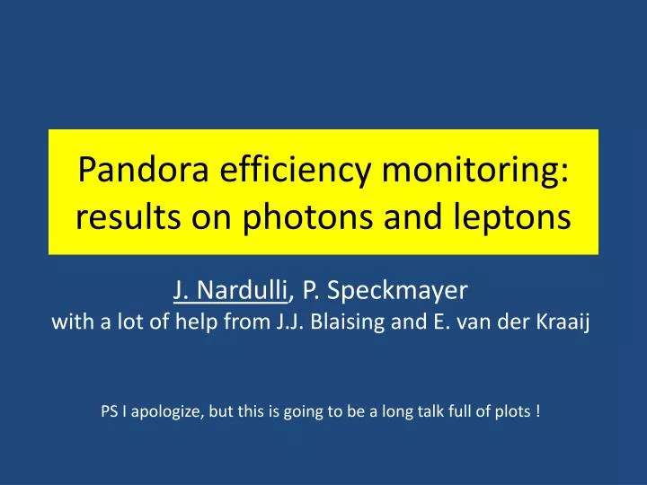pandora efficiency monitoring results on photons and leptons
