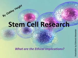 Stem Cell Research