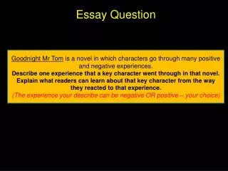 Essay Question