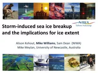 Storm-induced sea ice breakup and the implications for ice extent