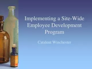 Implementing a Site-Wide Employee Development Program