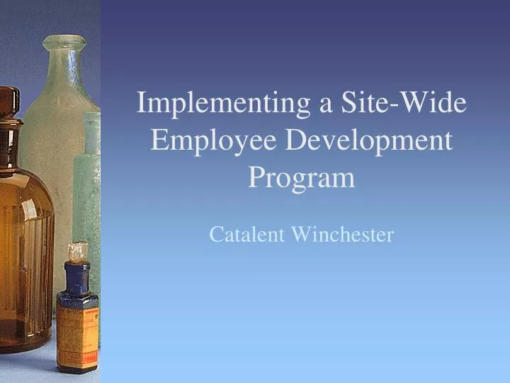 implementing a site wide employee development program